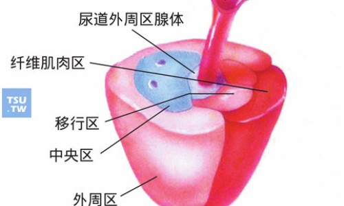复方雪莲胶囊用法用量-复方雪莲胶囊说明书网 :分享复方雪莲胶囊多少钱一盒-复方雪莲胶囊药物成份是什么知识